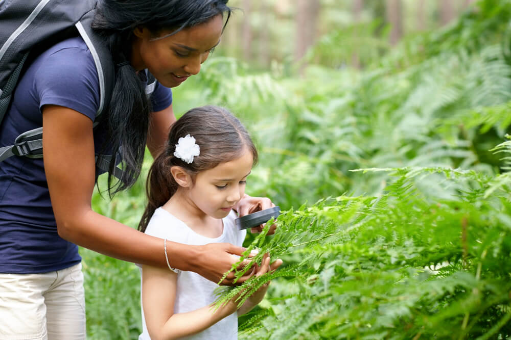 Adult and child examining a plant outdoors
