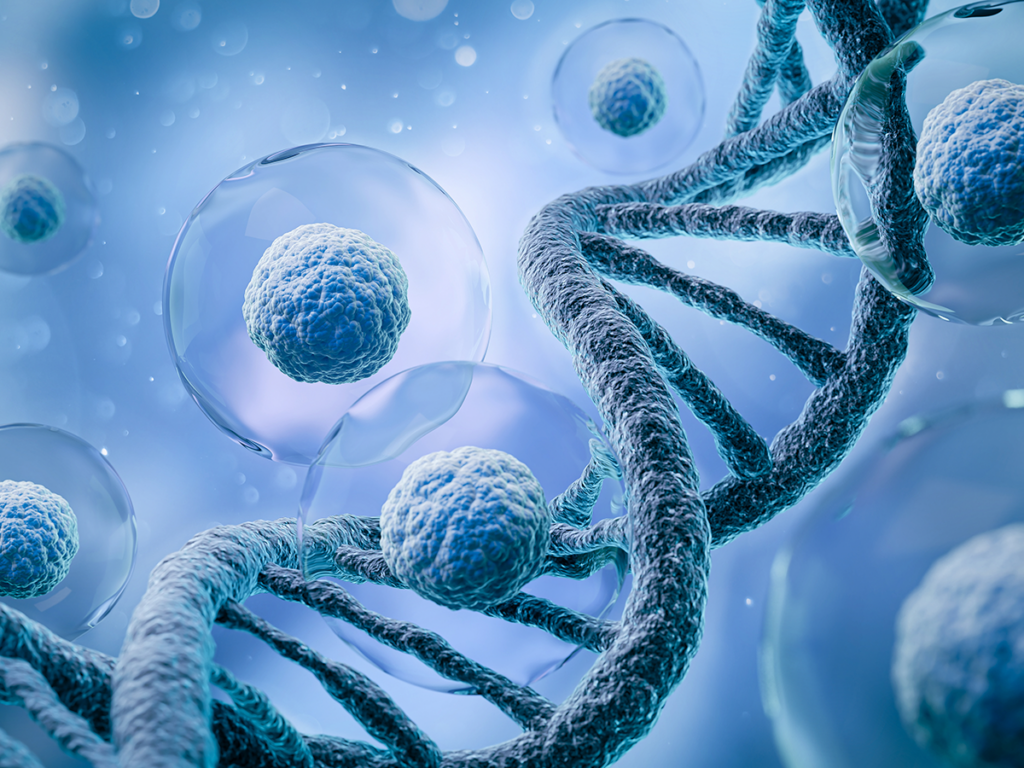 DNA double helix and cells