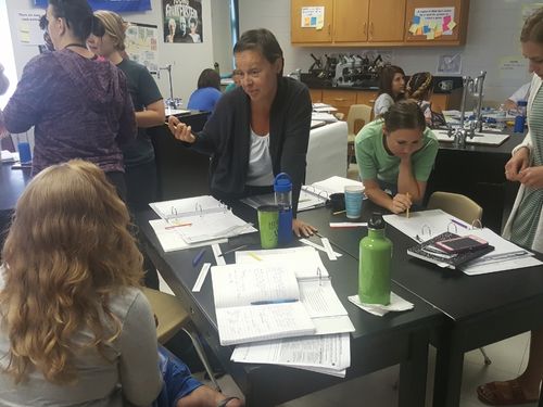 STeLLA teachers working around a table during professional learning