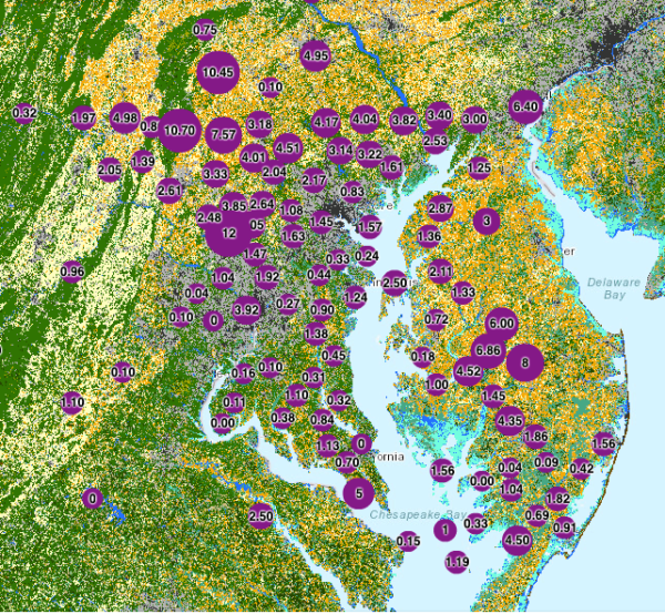 Chesapeake Bay Algal Blooms Bscs Science Learningbscs Science Learning