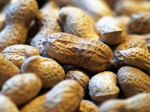 Closeup of peanuts.