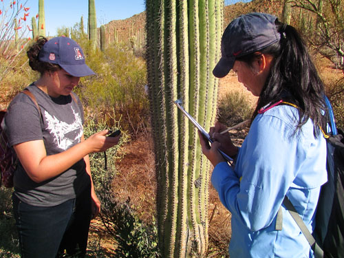 Two women studying a cactus in the desert.