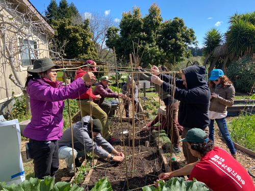 Students working in a garden