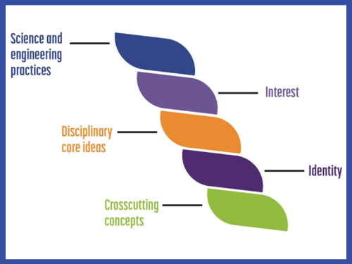 Science and engineering practices; Interest; Disciplinary core ideas; Identity; Crosscutting concepts