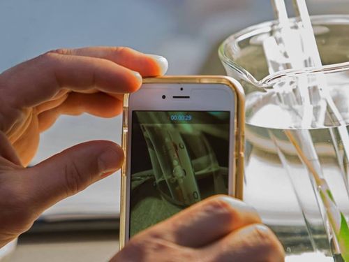 Pair of hands holding a smartphone and taking a picture of a beaker full of water