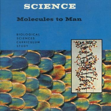 Front cover of the blue version, first edition: Molecules to Man