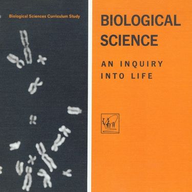 Front cover of the yellow version, first edition: An Inquiry Into Life