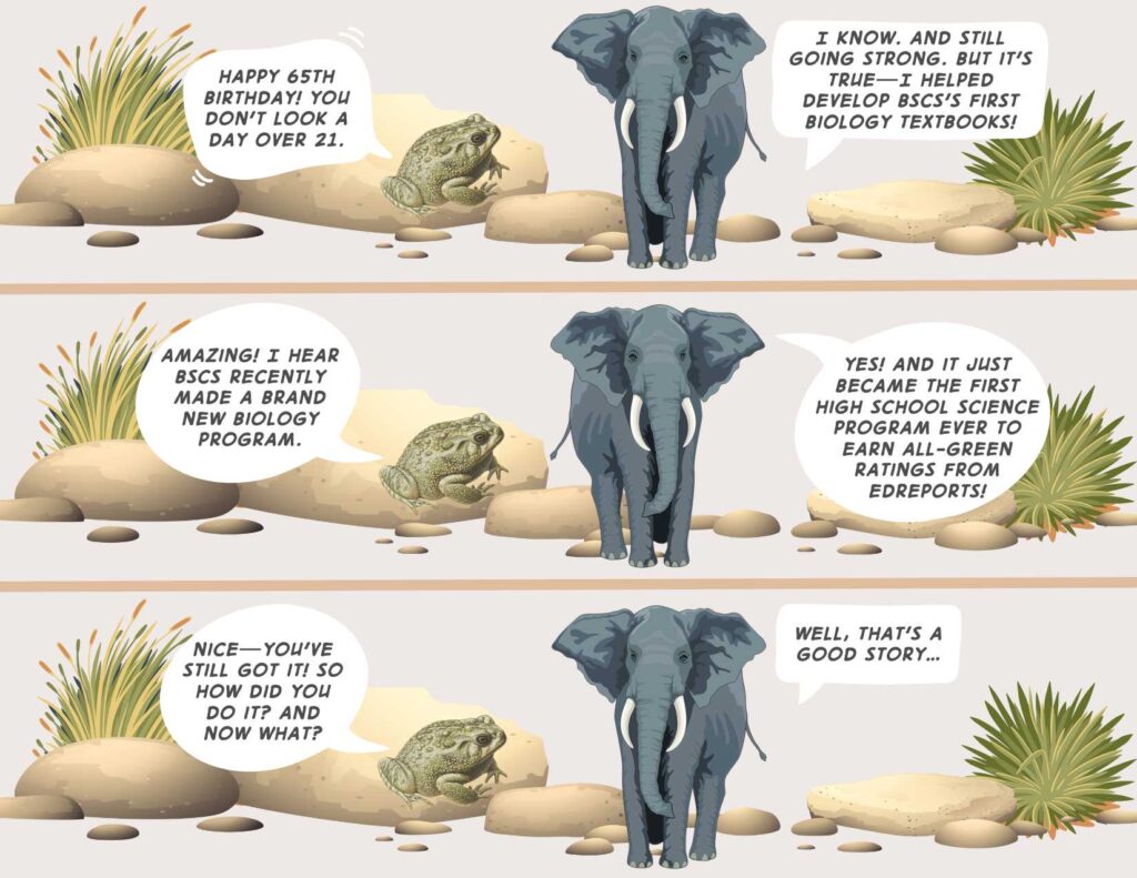Cartoon with a talking toad and elephant.