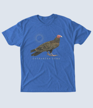 Image: Short-sleeve, blue, T-shirt with a drawing of a turkey vulture on the front, and below it reads, "Cathartes Aura".