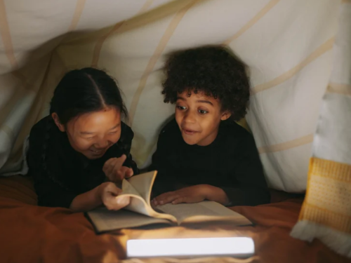 Leadership Institutes for OpenSciEd Elementary