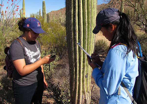 Students studying climate science in a desert environment