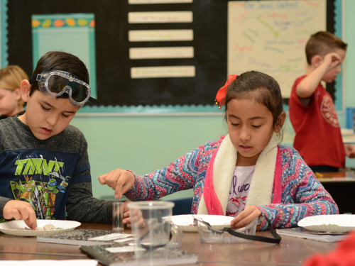 Two elementary school students in science class examining rocks in water